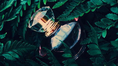 Perfume notes: What are top, middle & base notes in perfumes?