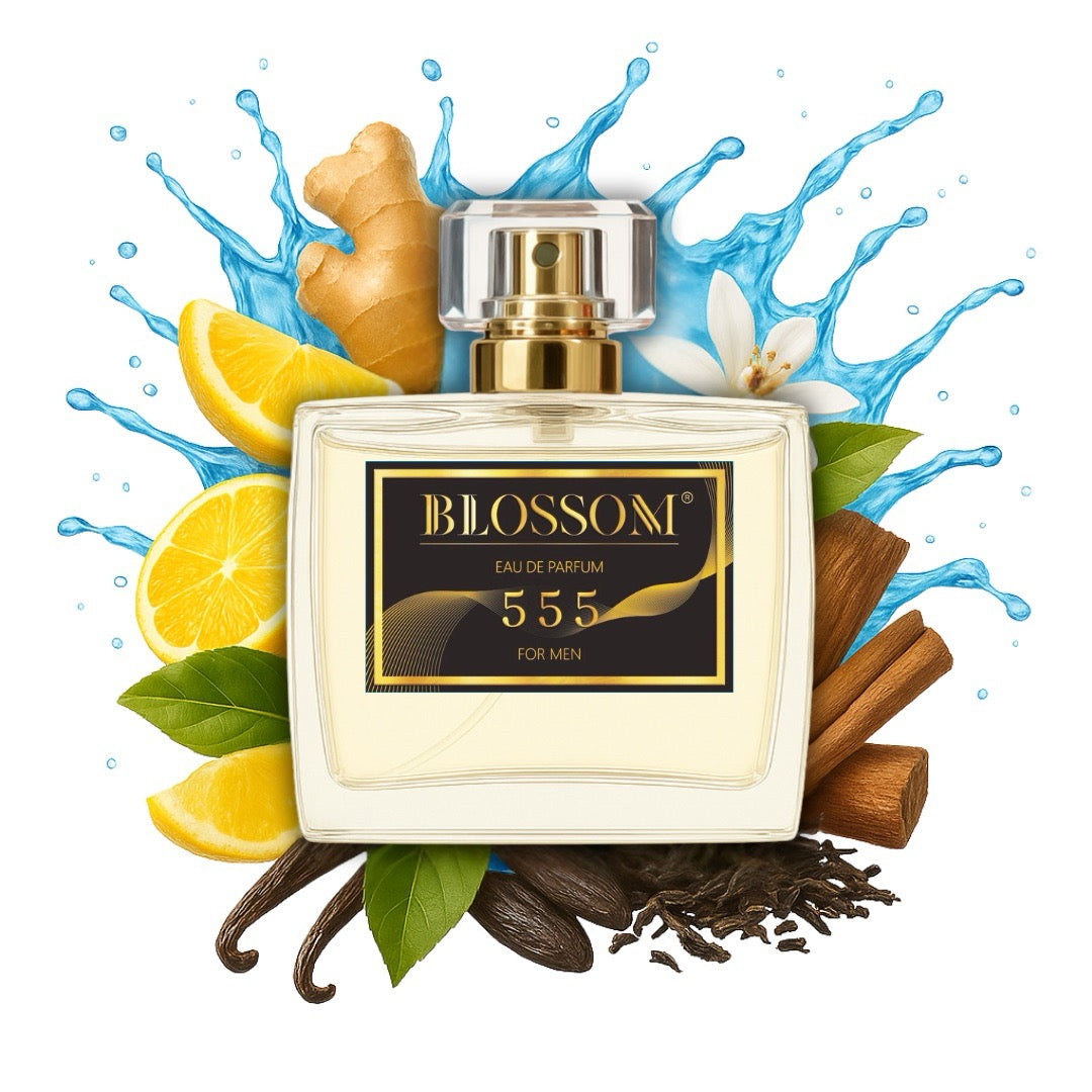 555 | Inspired by Imagination