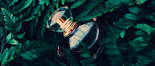 Perfume notes: What are top, middle & base notes in perfumes?