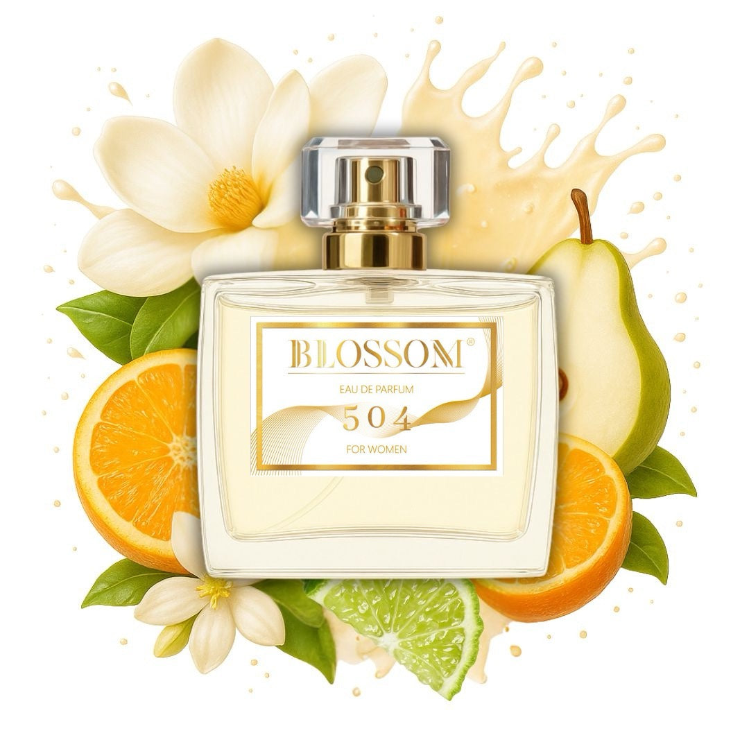 504 | Inspired by Paradoxe