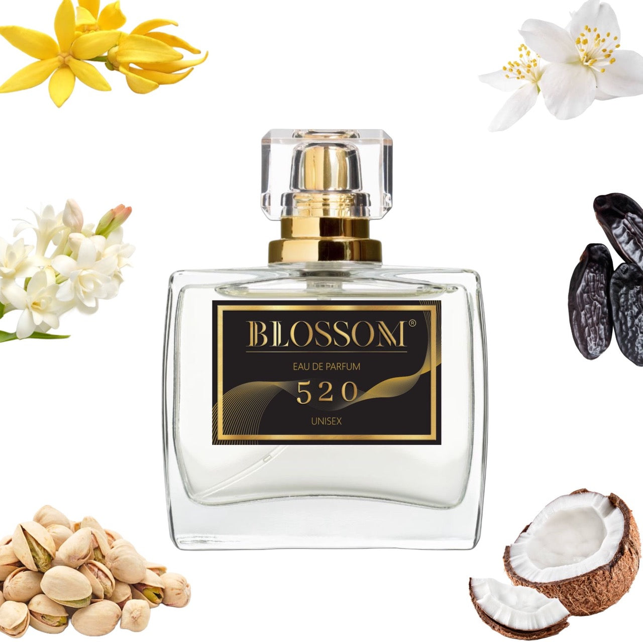 520 | Inspired by Soleil Blanc